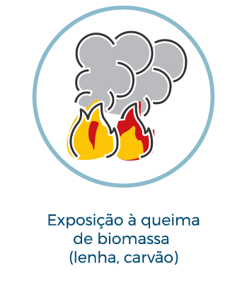 Exposição a queima de biomassa